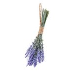 Lavender bundle 24 cm - Lila
