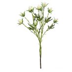 Eryngium spray x2 60cm - Krém