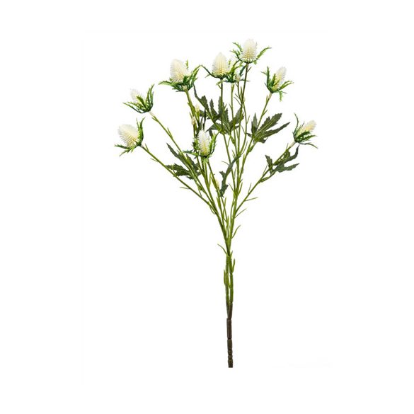 Eryngium spray x2 60cm - Krém