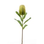 Banksia spray 65 cm - Zöld