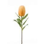 Banksia spray lt.65 cm - Narancs