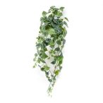   Scindapsus pictus hanging csüngő bokor 90cm – Zöld/szürke