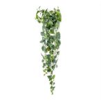  Scindapsus pictus hanging bush csüngő bokor 120cm - Zöld/szürke
