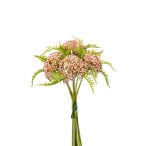 Achillea bundle x6 28cm - Rózsaszín
