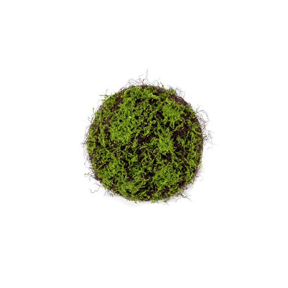 Fűlap fű mohával kerek D50cm