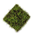 Fűlap mohával 50x50 cm - Zöld, barna