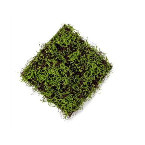 Fűlap mohával 50x50 cm - Zöld, barna