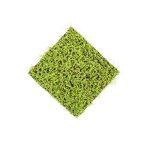 Fűlap soleirolia matt 50x50cm - Zöld