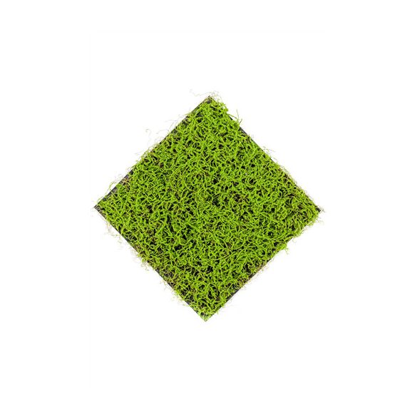 Fűlap matt zöld 50x50cm