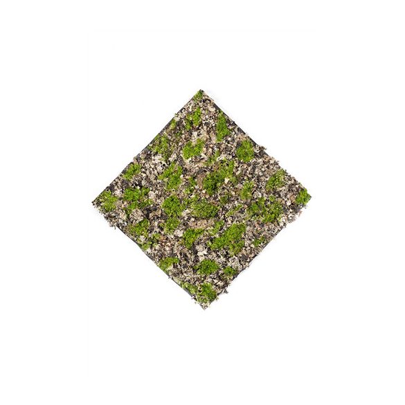 Fűlap száraz moha 50x50cm