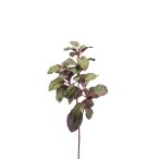 Menta ág 28cm - Bordó