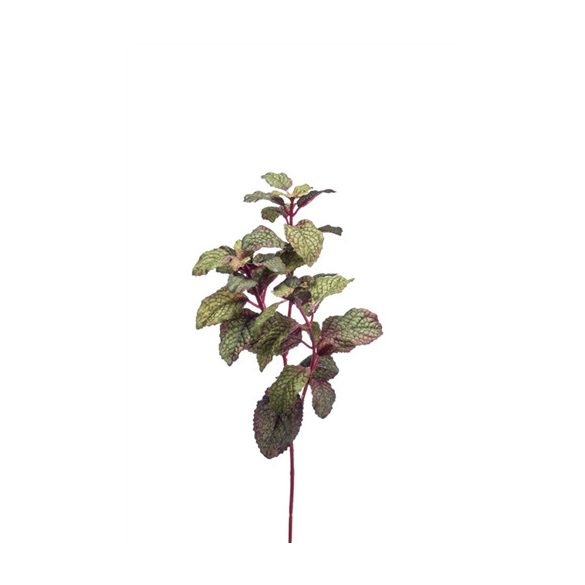 Menta ág 28cm - Bordó