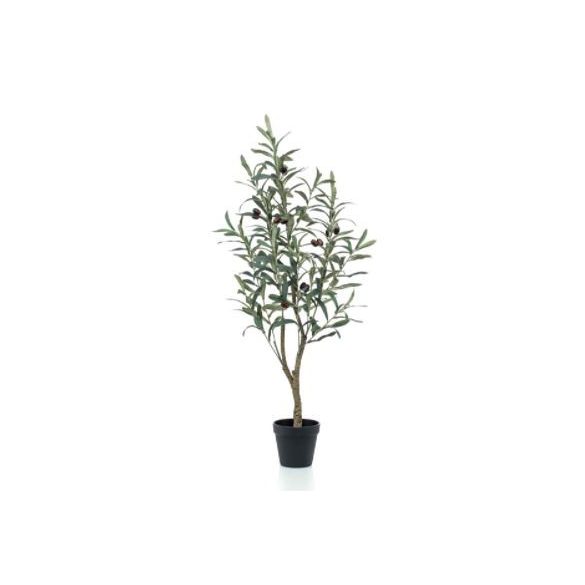 Oliva fa 90cm (műanyag cserépben)