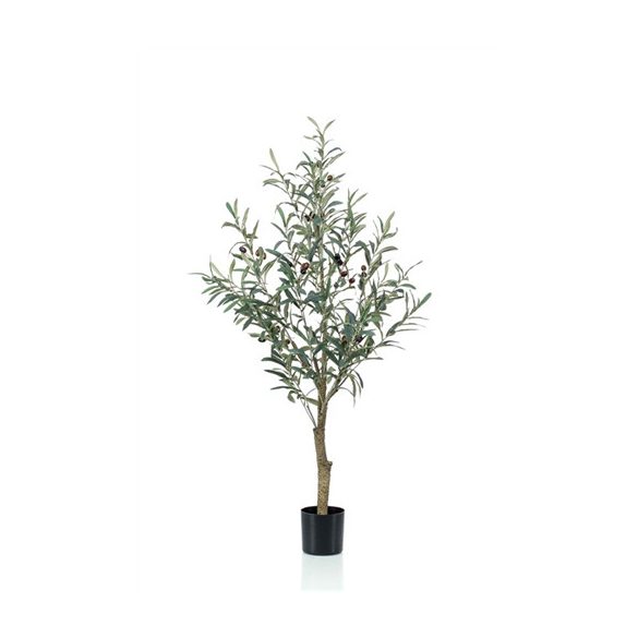 Oliva fa 115cm (műanyag cserépben)