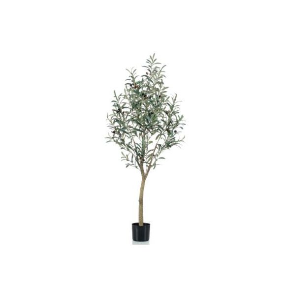 Oliva fa 140cm (műanyag cserépben)