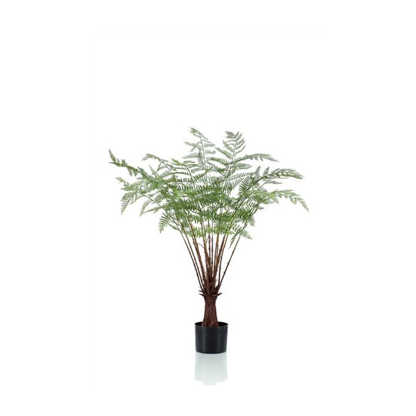 Páfrány bokor 100cm