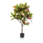 Croton fa 120cm/130lvs
