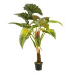 Colocasia tree 160cm (műanyag cserépben)