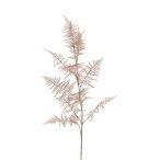 Asparaguszspray 105cm - Barack