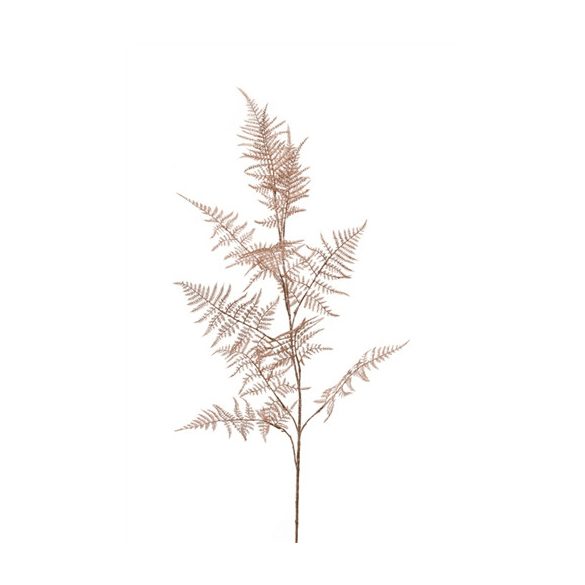 Asparaguszspray 105cm - Barack