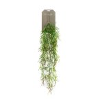 Rhipsalis hanging bush 90cm - Zöld