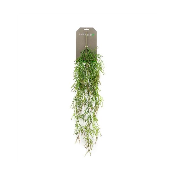 Rhipsalis hanging bush 90cm - Zöld