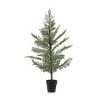 Araucaria fenyőfa 95cm (műanyag cserépben)