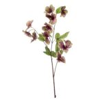 Helleboris ág 68cm - Lila