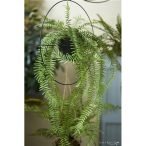 Fern in metal hanging ring 90cm