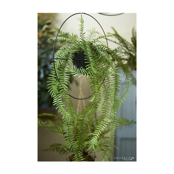 Fern in metal hanging ring 90cm