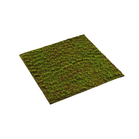 Grimmia mohaszőnyeg 100x100cm
