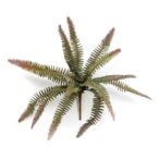 Fern mini bush 32 cm - Zöld/barna