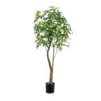 Pachira tree (Vadkakaó fa) 180cm (műanyag cserépben)