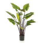 Colocasia 130cm / 14levél (műanyag cserépben)