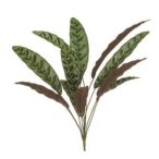 Calathea bokor 11 levél 70cm - Zöld/bordó