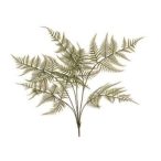 Páfrány kerti bokor x7, 65cm - Zöld