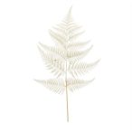 Fern spray 80cm - Krém