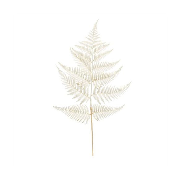 Fern spray 80cm - Krém