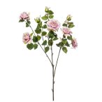 Rózsa chelsea branch x3 110cm - Halvány lila