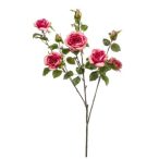 Rózsa chelsea branch x3 110cm - Beauty