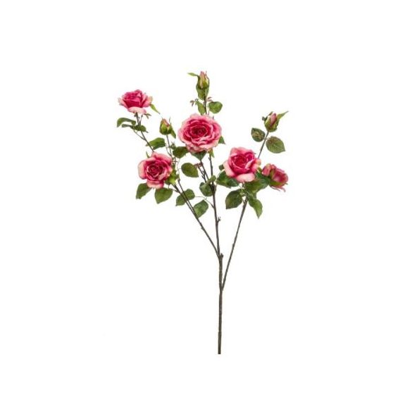 Rózsa chelsea branch x3 110cm - Beauty