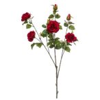 Rózsa chelsea branch x3 110cm - Vörös
