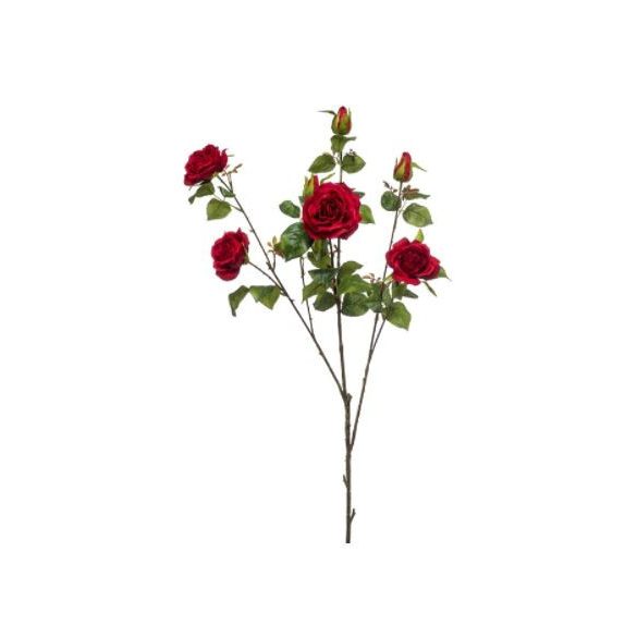 Rózsa chelsea branch x3 110cm - Vörös