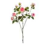   Rose London branch x3 110cm - Rózsaszín/sötét rózsaszín