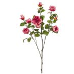 Rose London branch x3 110cm - Beauty