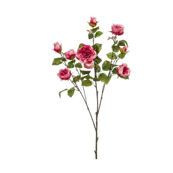 Rose London branch x3 110cm - Beauty