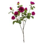 Rose London branch x3 110cm - Sötét lila