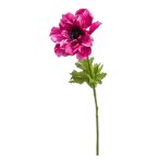 Anemone stem 56cm - Lila