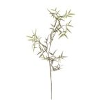 Páfrány mini szál 110cm - Zöld