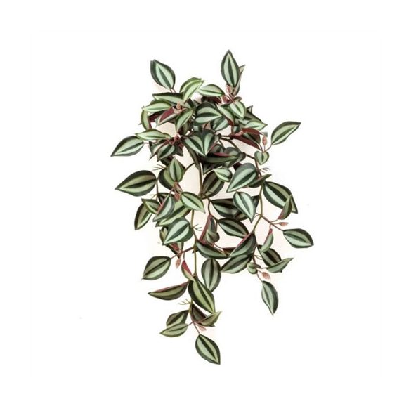 Tradescantia bokor 40cm - Zöld/bordó